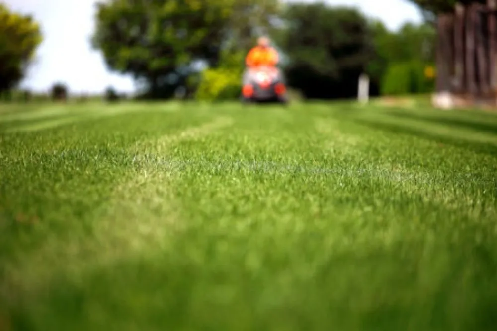 Expert lawn care service near you in Palm Bay, FL by Karen's Group Lawncare