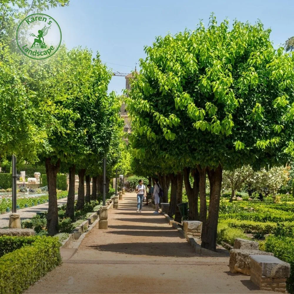 Top-rated yard cleanup service for outdoor upgrades across Cupertino, CA - Karen´s Landscape