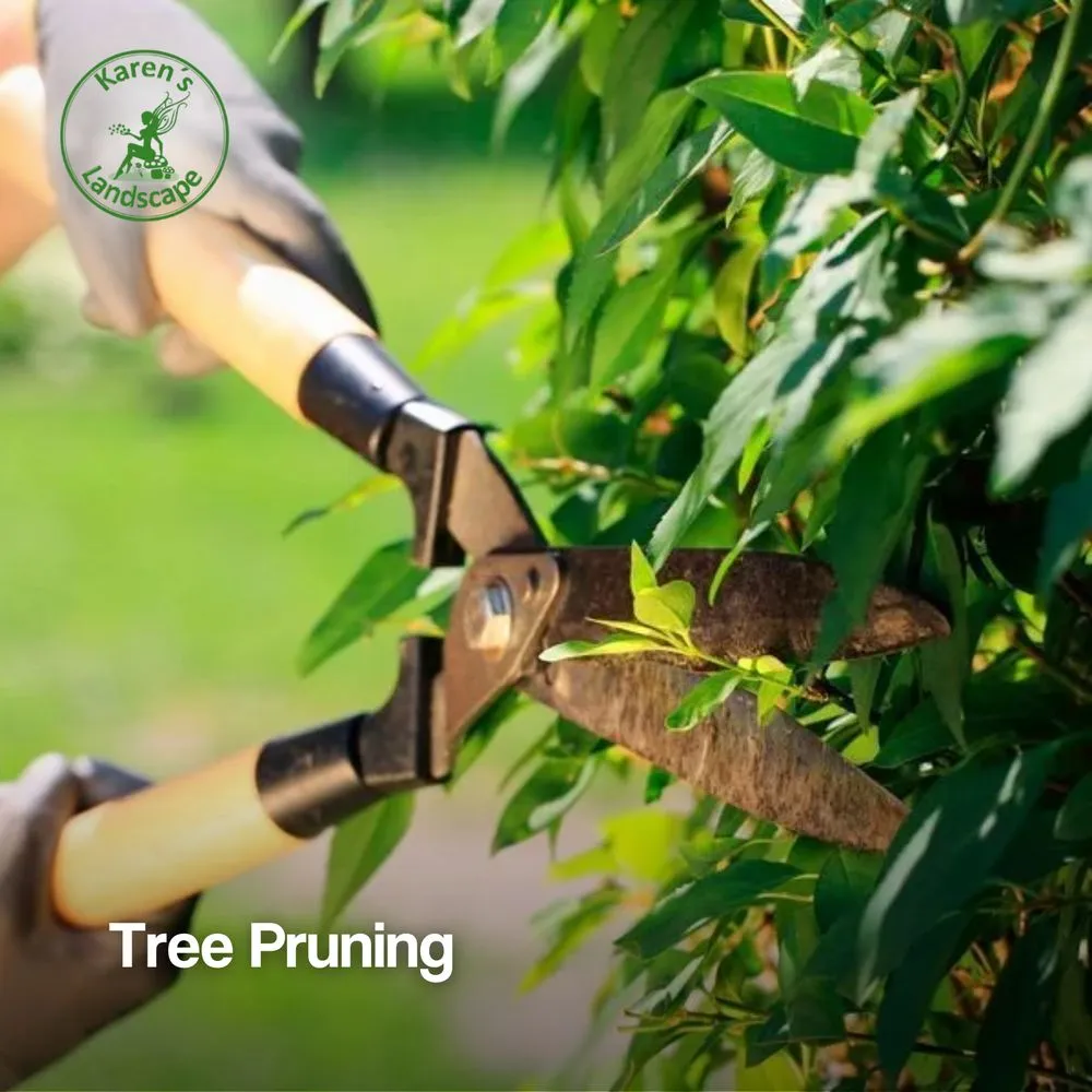 Custom yard maintenance for beautiful yards across Cupertino, CA - Karen´s Landscape