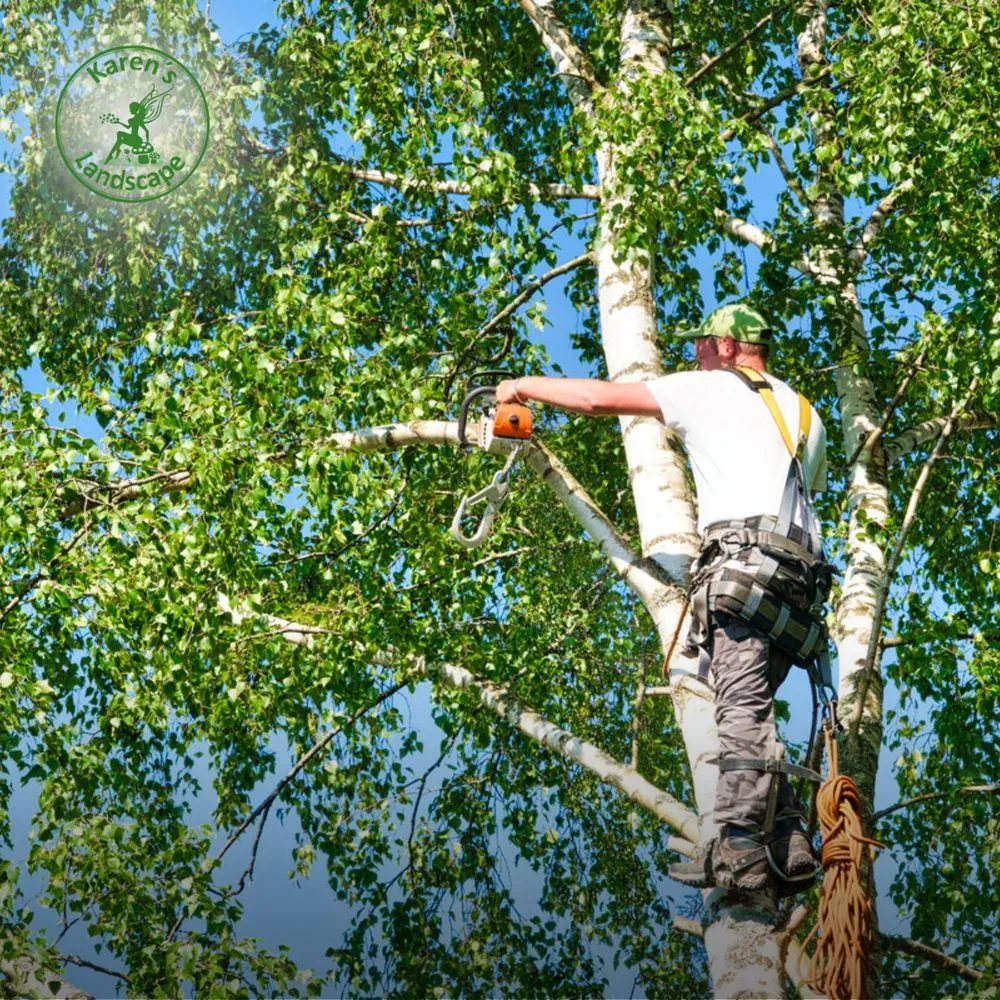 Professional landscaping services experts serving Cupertino, CA - Karen´s Landscape