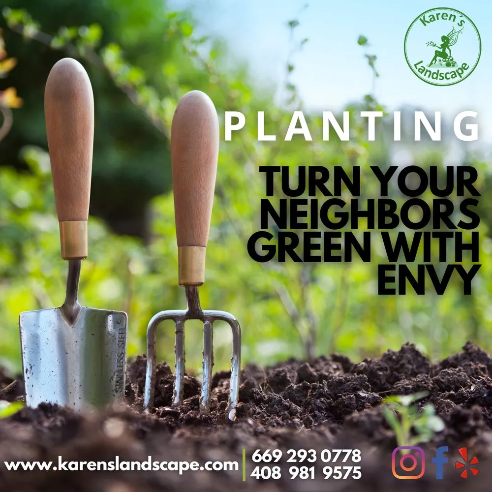 Professional yard maintenance experts serving Cupertino, CA - Karen´s Landscape