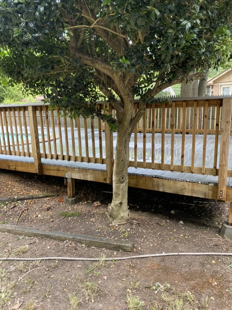 Affordable lawn mowing service in Temple Hills, MD by Karibbean Twist