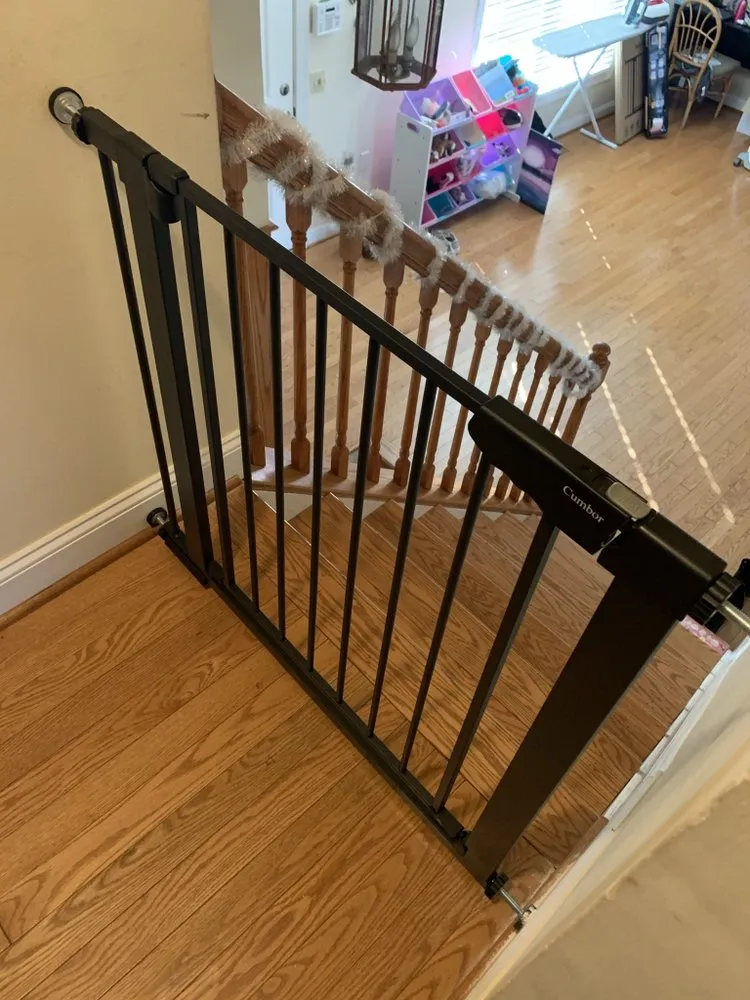 Top-rated yard cleanup service for homes in Temple Hills, MD by Karibbean Twist