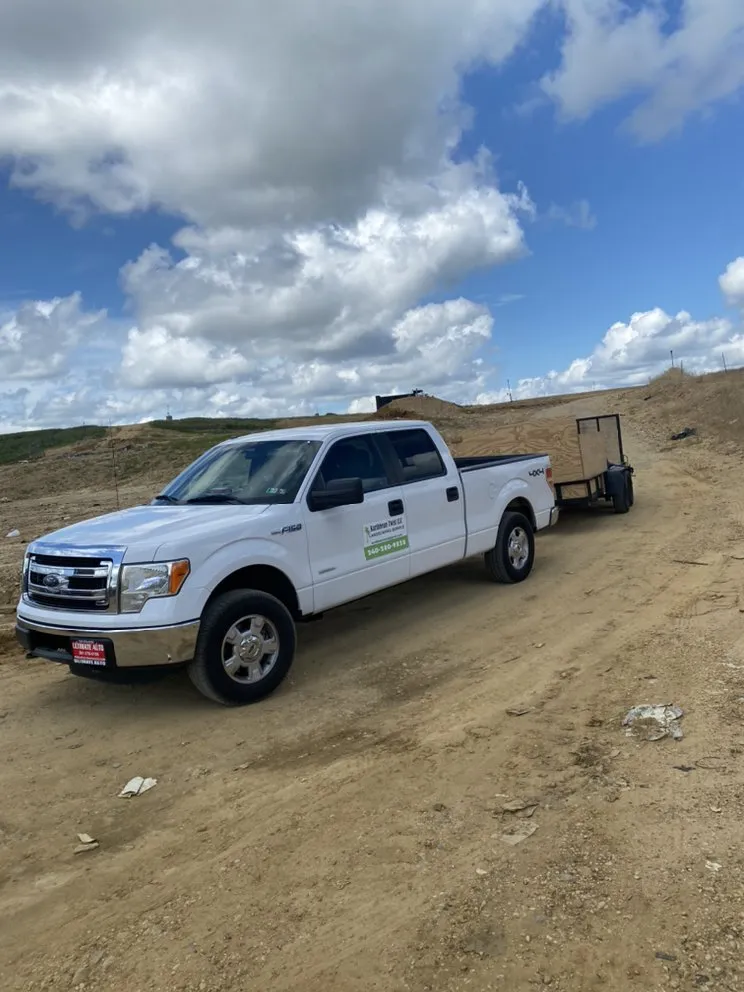 Top-rated yard cleanup service for year-round maintenance across Temple Hills, MD - Karibbean Twist