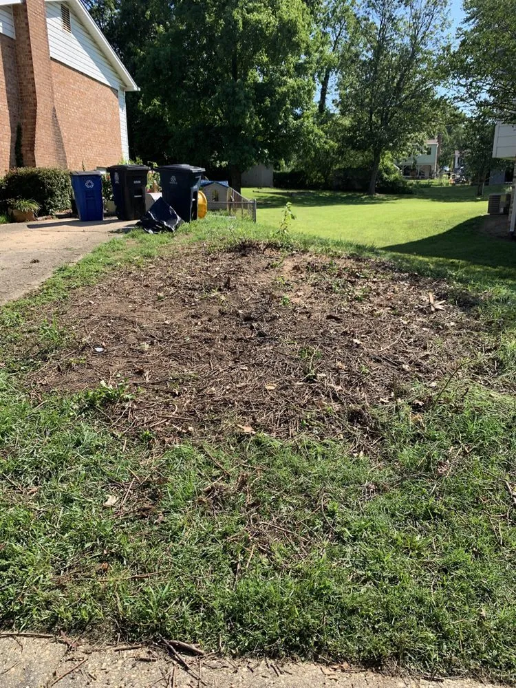 Local landscape design in Temple Hills, MD - Karibbean Twist