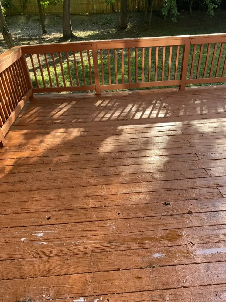 Local yard maintenance in Temple Hills, MD - Karibbean Twist