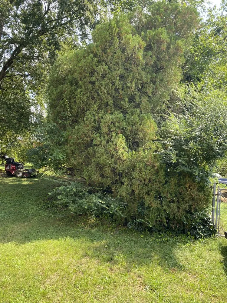 Reliable outdoor landscaping for beautiful yards across Temple Hills, MD - Karibbean Twist