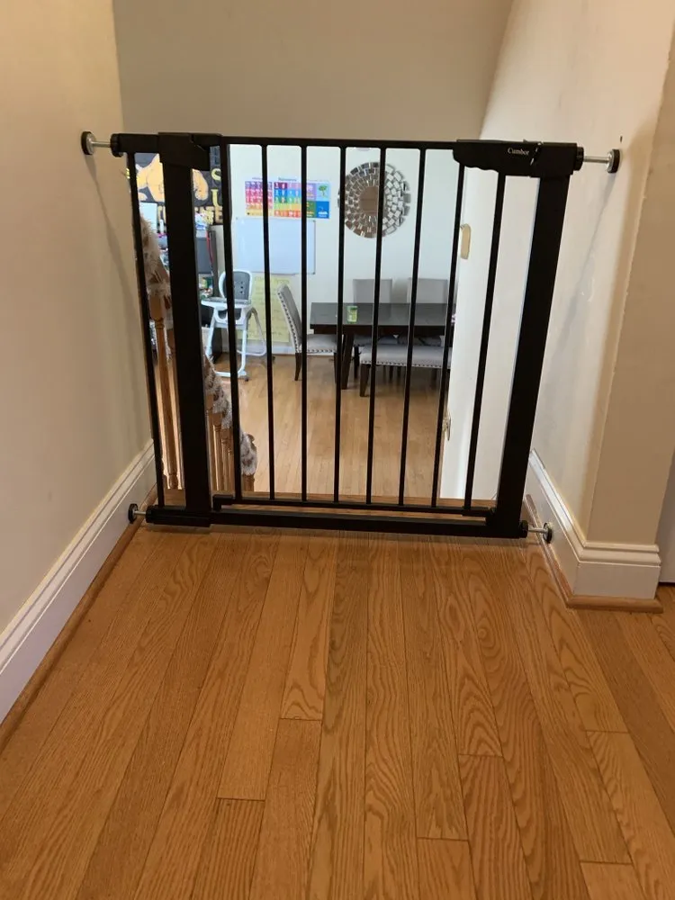 Affordable landscaping services in Temple Hills, MD - Karibbean Twist