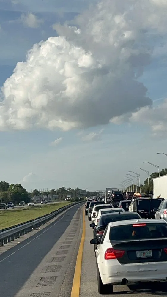 Local landscaping services in Tampa, FL by Karito Company