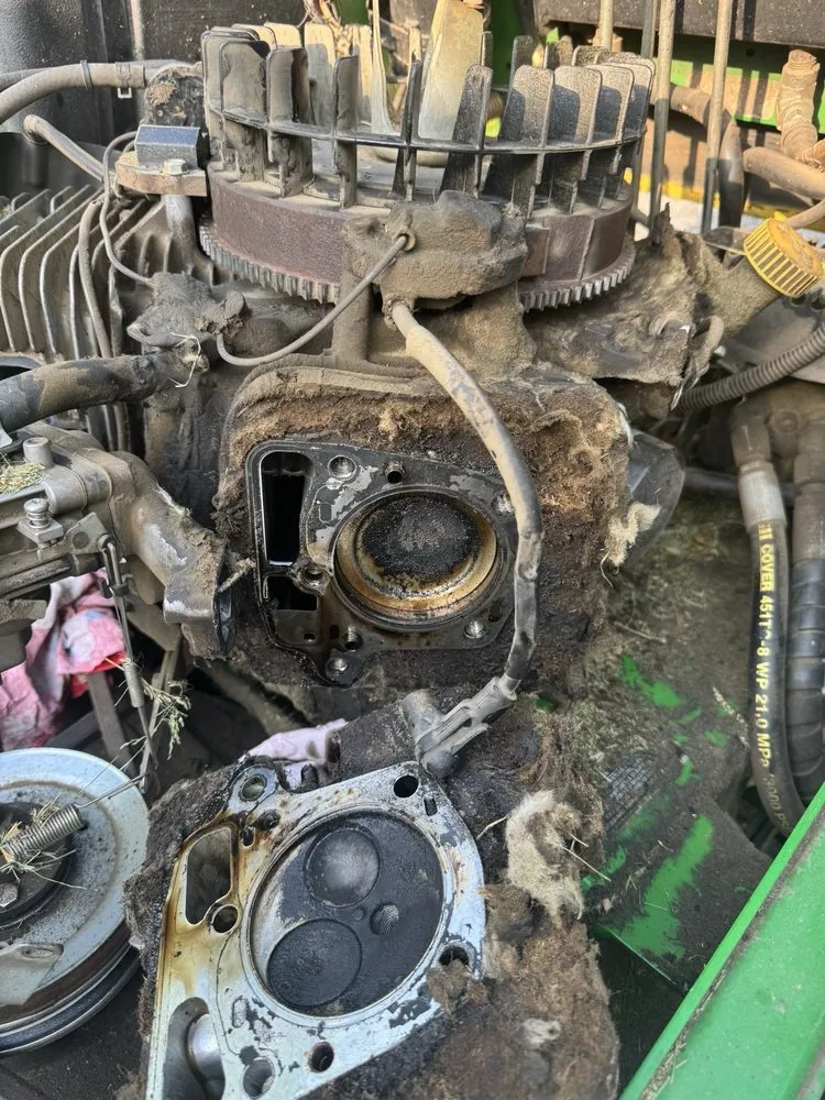 Reliable outdoor landscaping in Bolingbrook, IL by Karlitos Movile Services