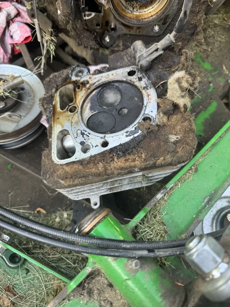 Top-rated landscape design for beautiful yards across Bolingbrook, IL - Karlitos Movile Services