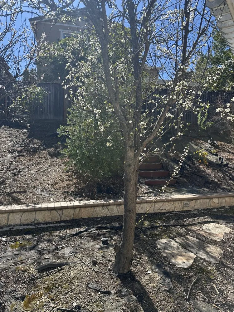 Top-rated landscape design in San Ramon, CA - Karman Landscaping