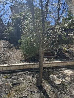 Karman Landscaping Logo