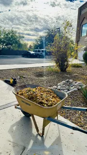 Reliable residential landscaping in Tucson, AZ - Karnak Landscaping