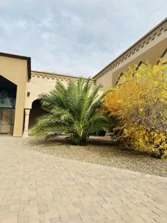 Local landscape installation for year-round maintenance in Tucson, AZ by Karnak Landscaping