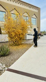 Expert yard maintenance in Tucson, AZ by Karnak Landscaping