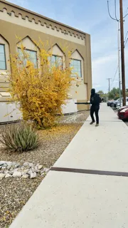 Local yard cleanup service for beautiful yards in Tucson, AZ by Karnak Landscaping