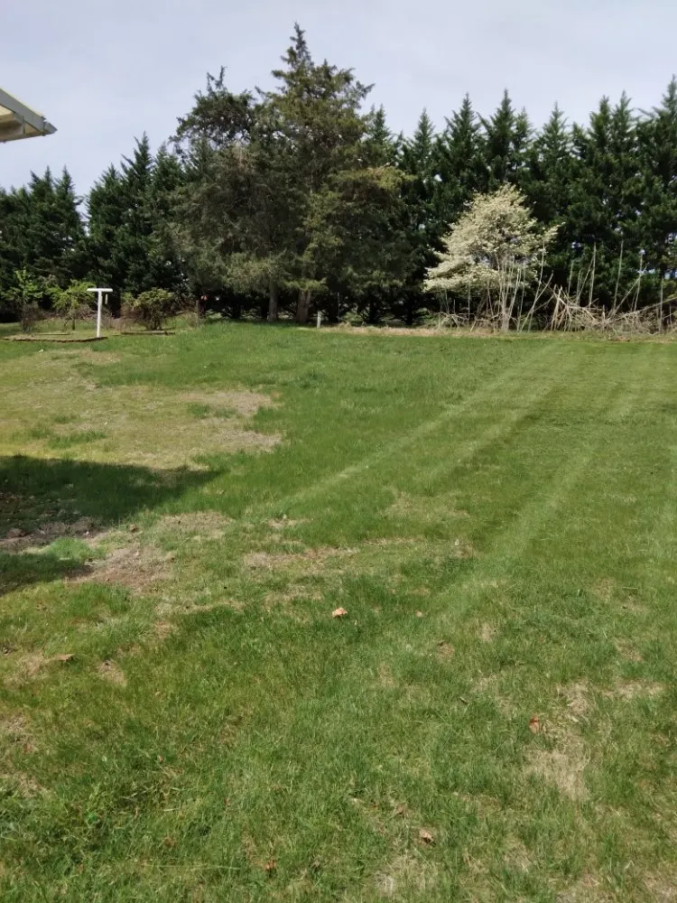 Expert yard cleanup service experts serving Stuarts Draft, VA - Karnes Lawn Services