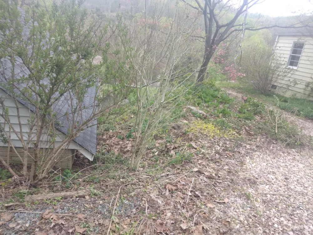 Affordable lawn mowing service for outdoor upgrades in Stuarts Draft, VA by Karnes Lawn Services