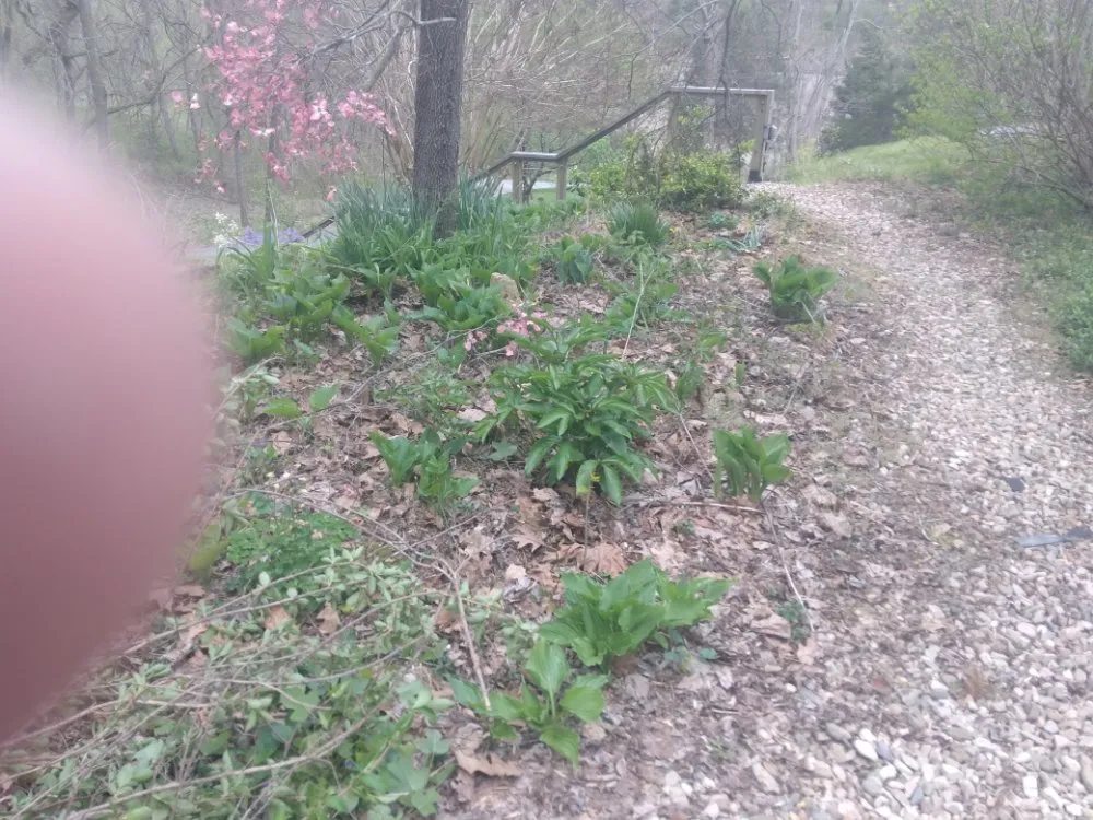 Custom landscaping services for outdoor upgrades in Stuarts Draft, VA by Karnes Lawn Services