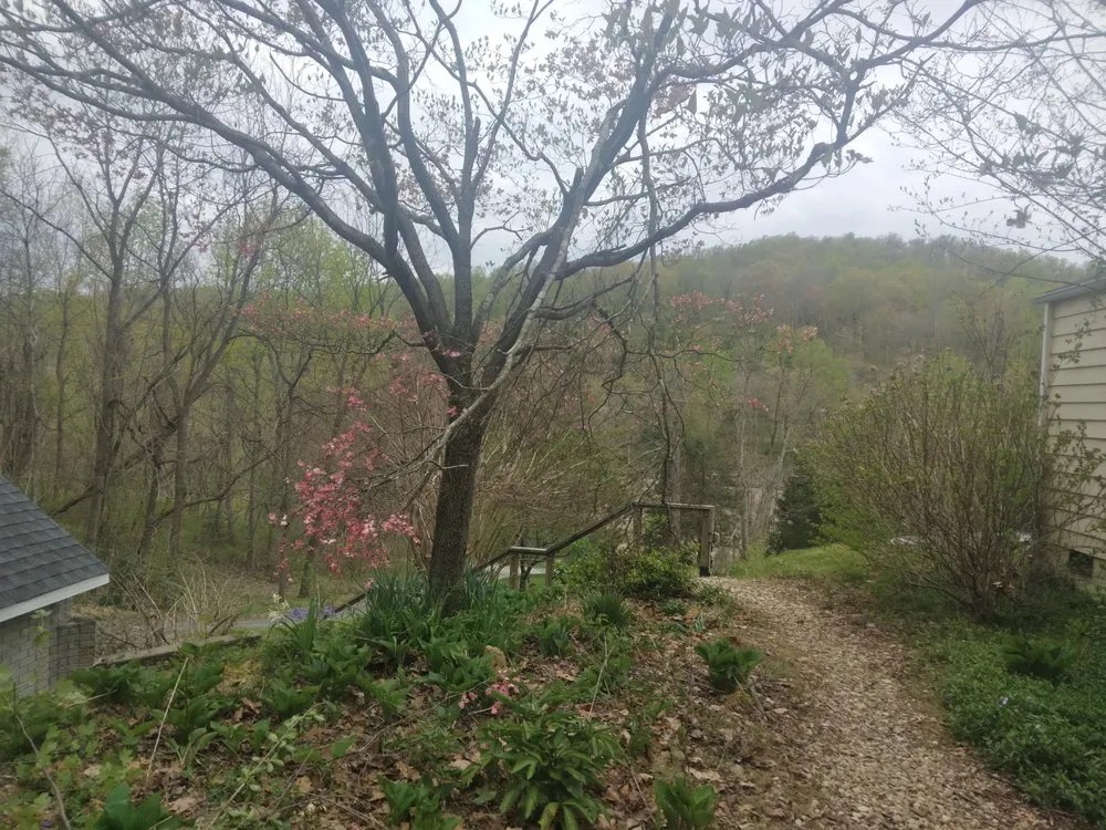 Reliable yard cleanup service for homes across Stuarts Draft, VA - Karnes Lawn Services