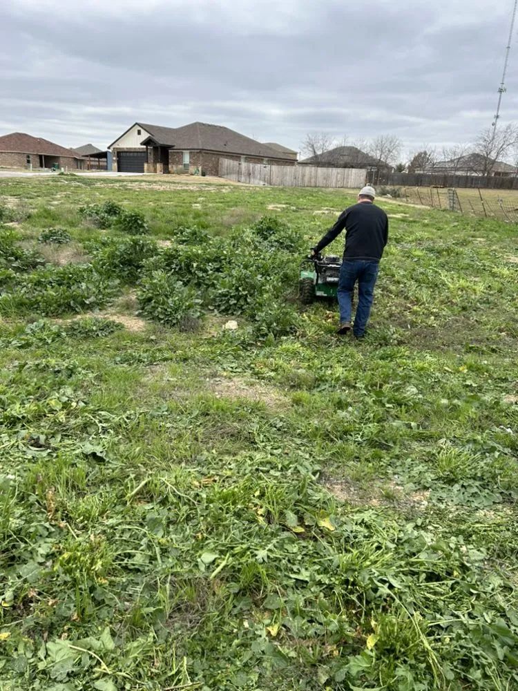 Local yard maintenance experts serving Temple, TX - Karns Homes