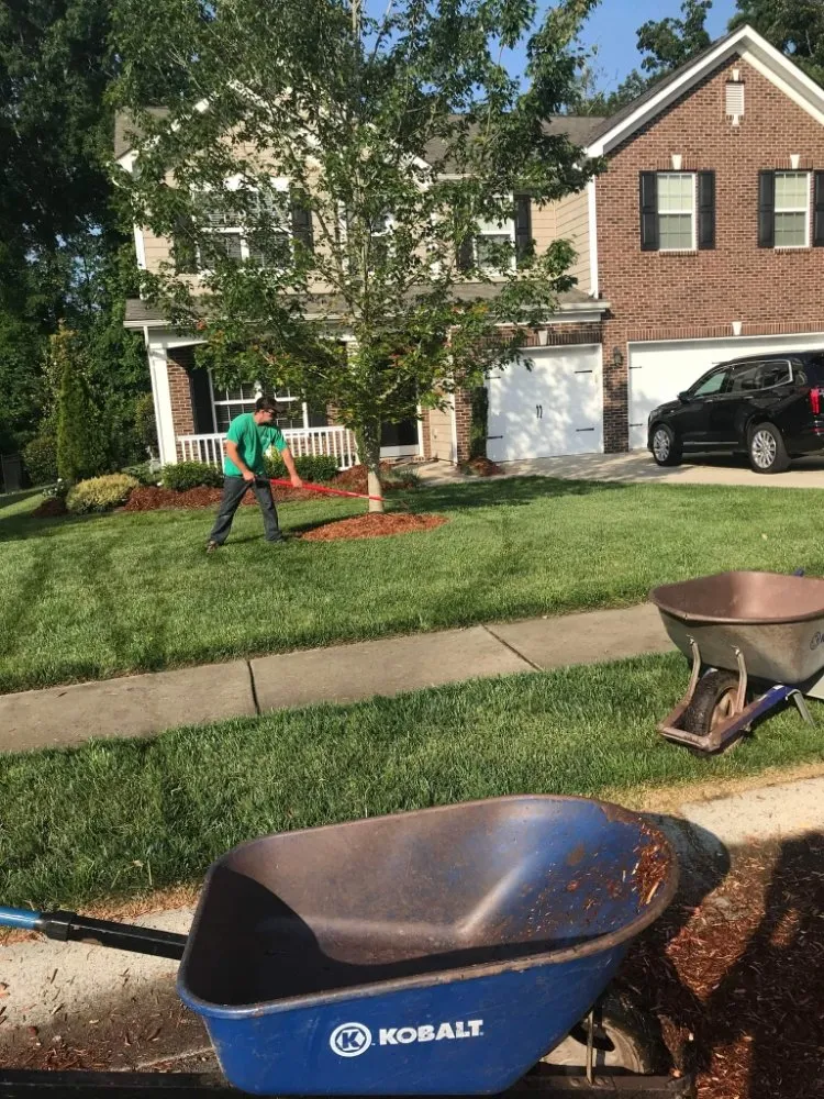 Affordable garden landscaping in Fort Mill, SC - Karolina Kings