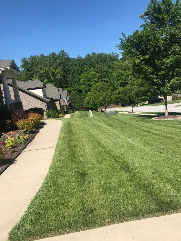 Expert lawn care service for year-round maintenance in Fort Mill, SC by Karolina Kings
