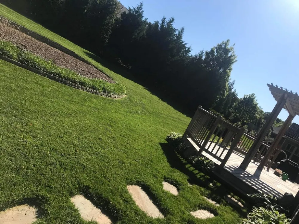 Top-rated landscape design for outdoor upgrades across Fort Mill, SC - Karolina Kings