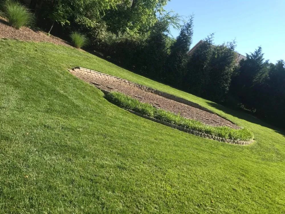 Top-rated lawn care service in Fort Mill, SC by Karolina Kings