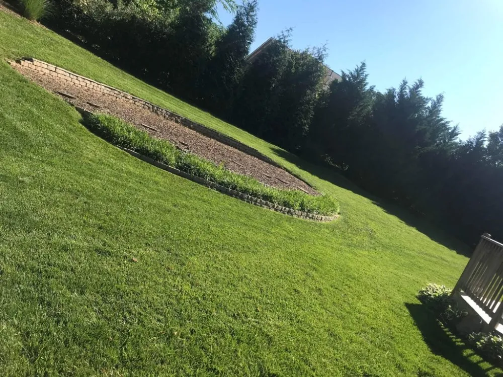 Top-rated residential landscaping experts serving Fort Mill, SC - Karolina Kings