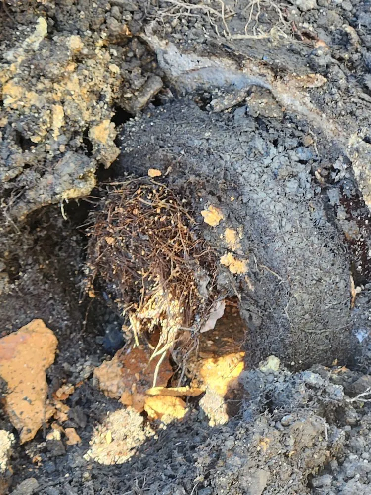 Professional lawn mowing service experts serving Apollo, PA - Karpinski Landscape & Excavation