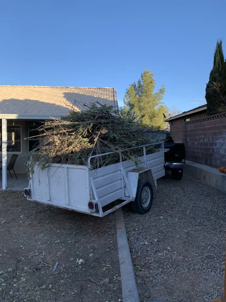 Reliable lawn care service in St. George, UT by Kartchner Junk-Removal Yard-Maintenance