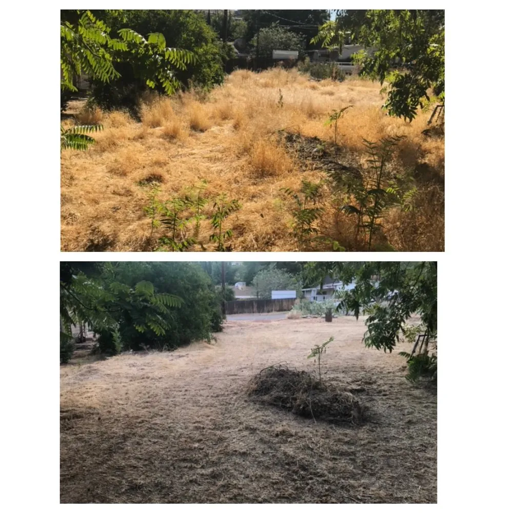 Expert landscaping services in St. George, UT by Kartchner Junk-Removal Yard-Maintenance