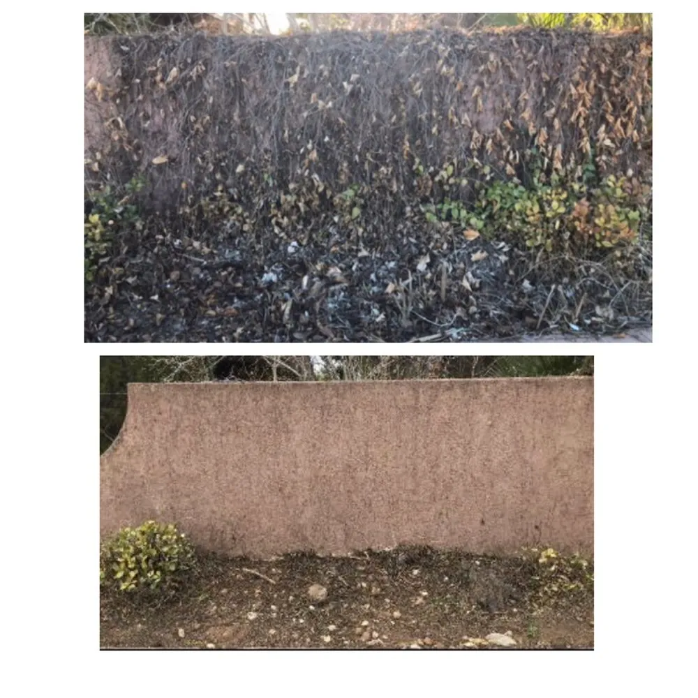 Affordable landscape installation for homes across St. George, UT - Kartchner Junk-Removal Yard-Maintenance