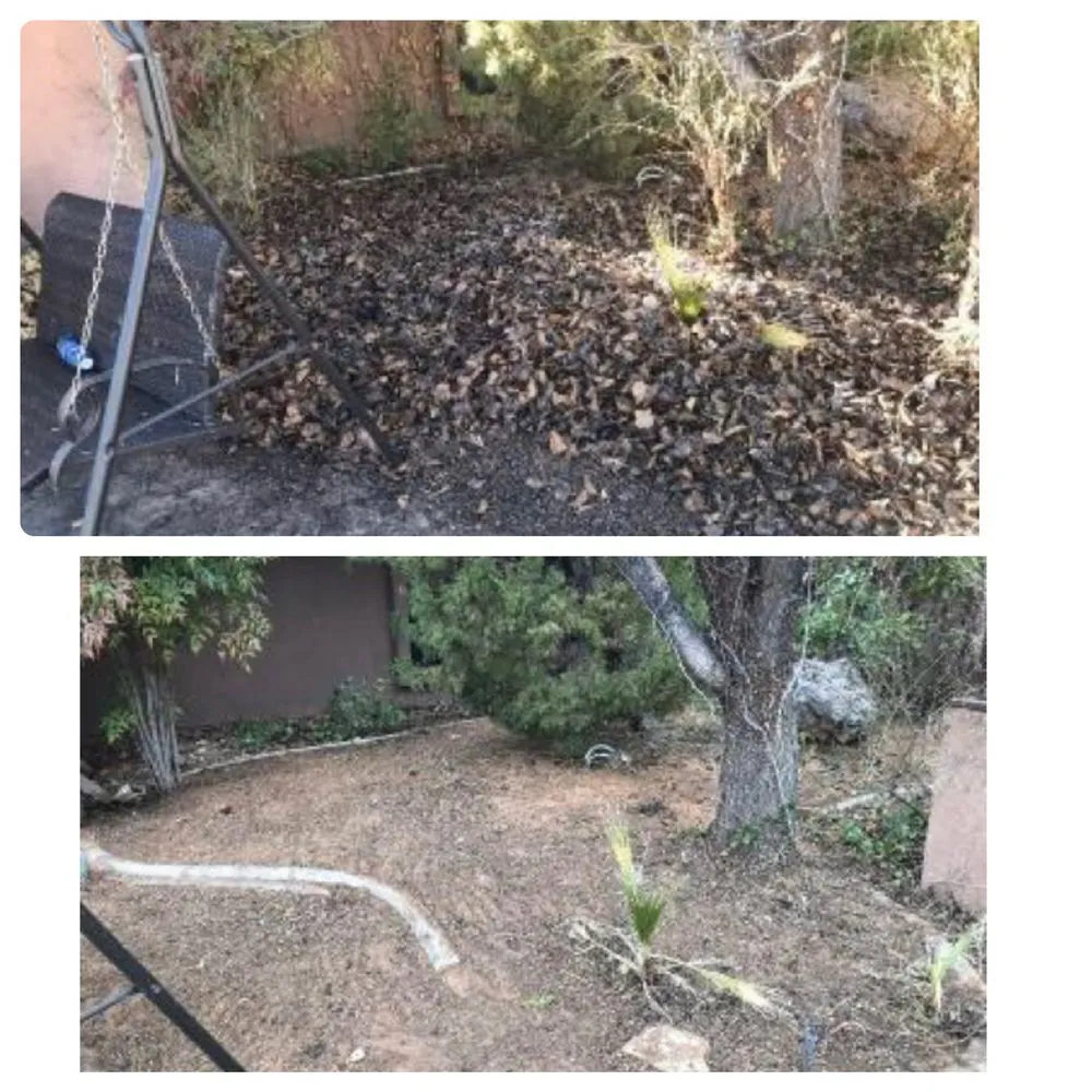 Expert landscape installation in St. George, UT - Kartchner Junk-Removal Yard-Maintenance