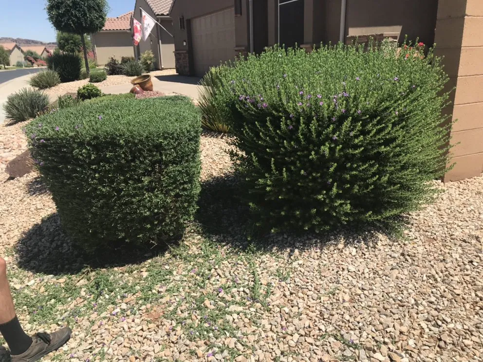 Custom landscape installation with custom design across St. George, UT - Kartchner Junk-Removal Yard-Maintenance