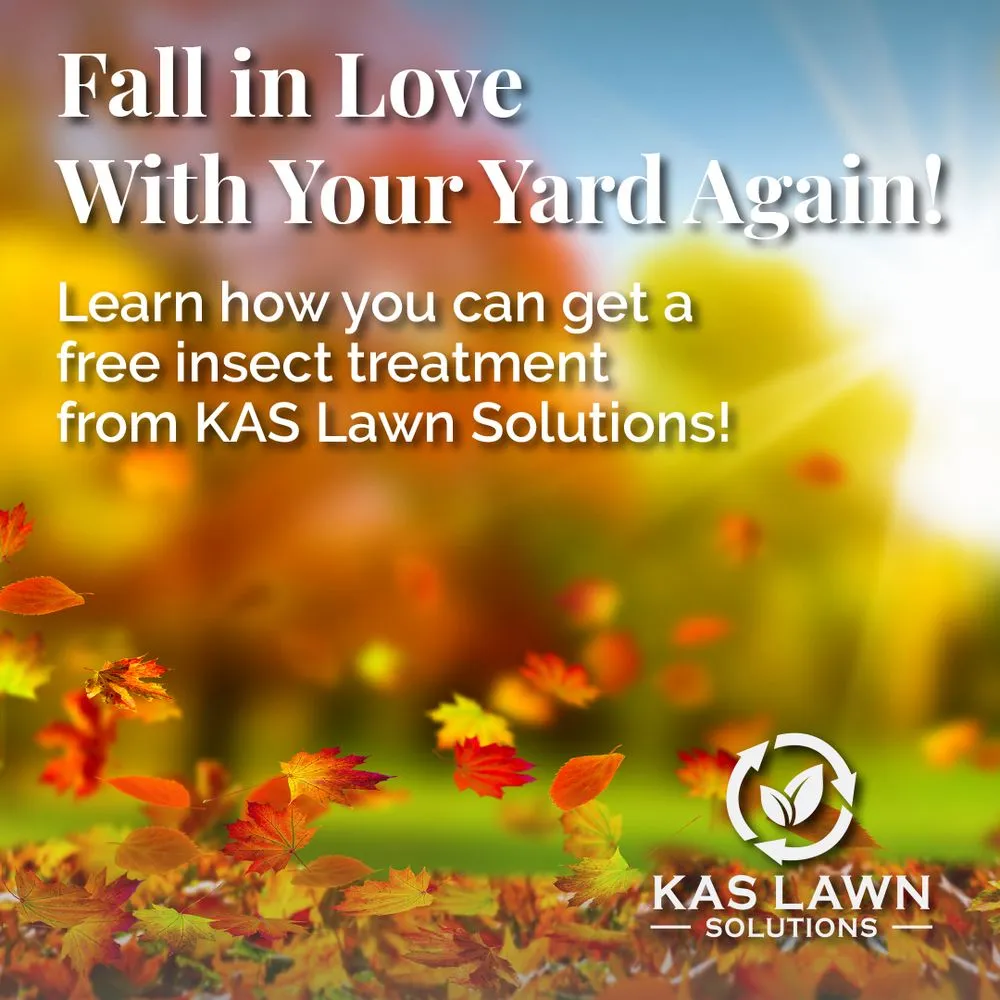 Professional lawn care service experts serving Palmyra, MI - KAS Lawn Solutions