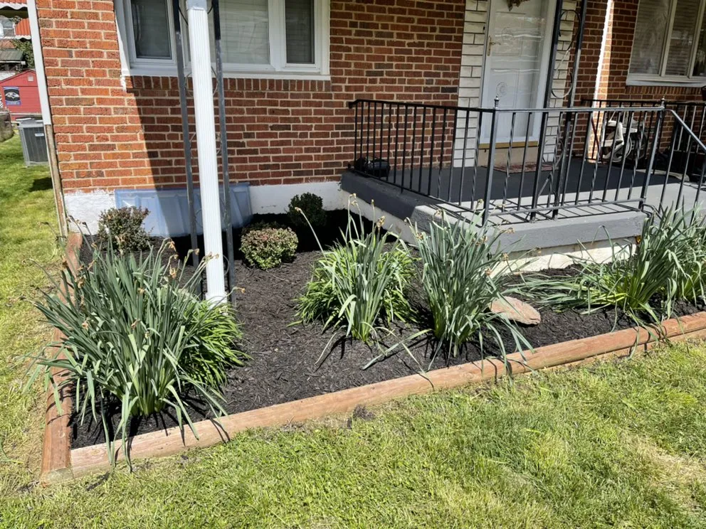 Reliable lawn mowing service for year-round maintenance across Dundalk, MD - Kasablanca Remodeling & Landscaping