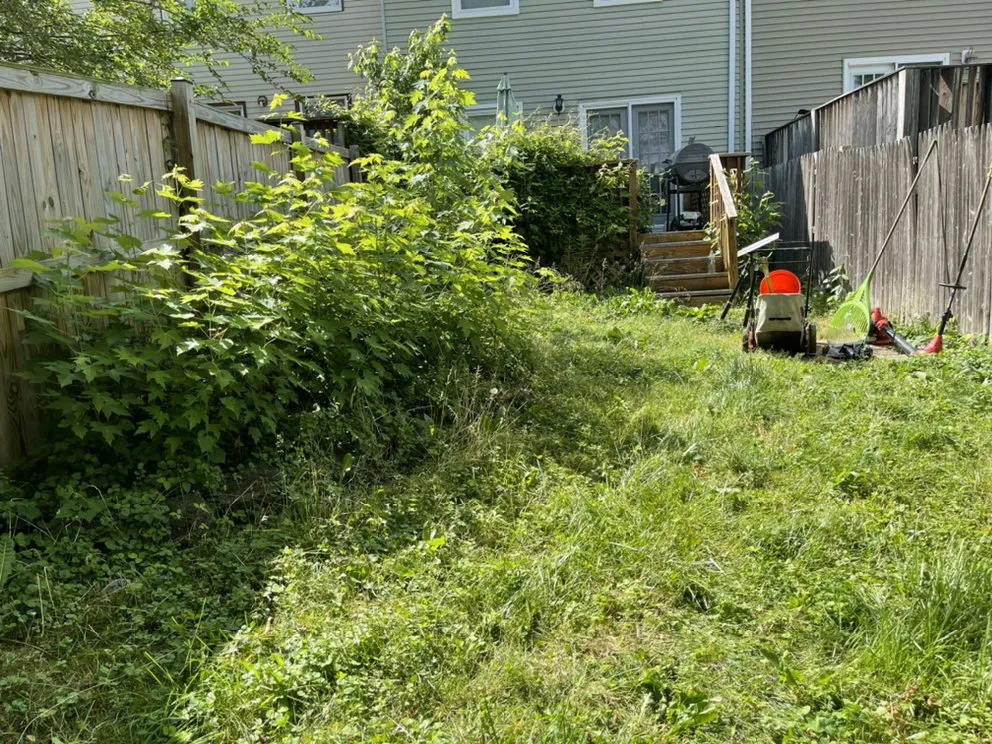 Trusted landscaping services in Dundalk, MD by Kasablanca Remodeling & Landscaping