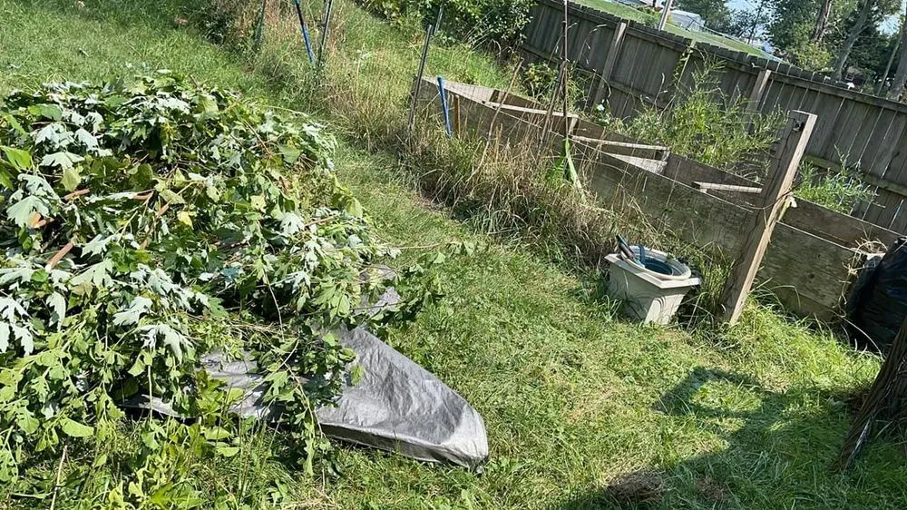 Local yard cleanup service in Dundalk, MD by Kasablanca Remodeling & Landscaping