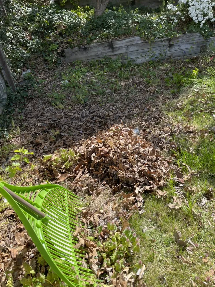 Professional residential landscaping experts serving Dundalk, MD - Kasablanca Remodeling & Landscaping