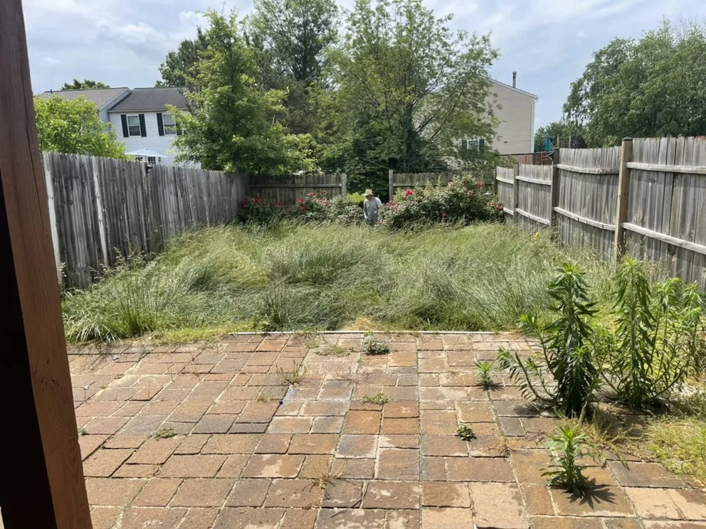 Reliable lawn care service with custom design in Dundalk, MD by Kasablanca Remodeling & Landscaping