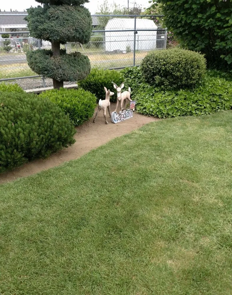 Affordable outdoor landscaping for homes across Bonney Lake, WA - Kasco