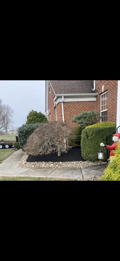 Expert landscaping services experts serving Bear, DE - Kase Landscaping