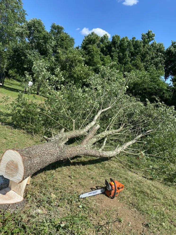 Local garden landscaping in Bear, DE by Kase Landscaping
