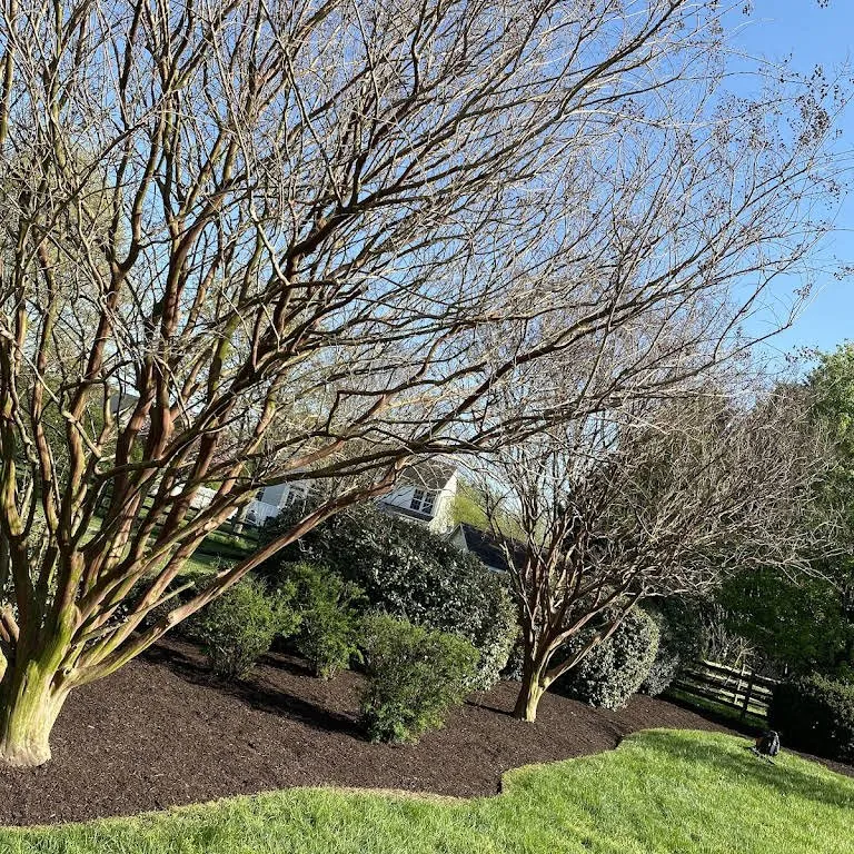 Top-rated lawn care service experts serving Bear, DE - Kase Landscaping