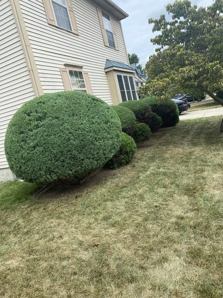 Expert outdoor landscaping in Bear, DE - Kase Landscaping