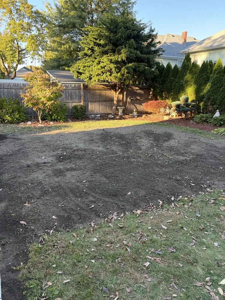 Reliable yard cleanup service experts serving Providence, RI - Kasht Property Managment