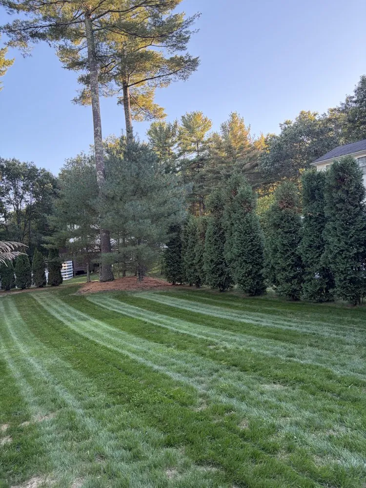 Affordable garden landscaping in Providence, RI - Kasht Property Managment